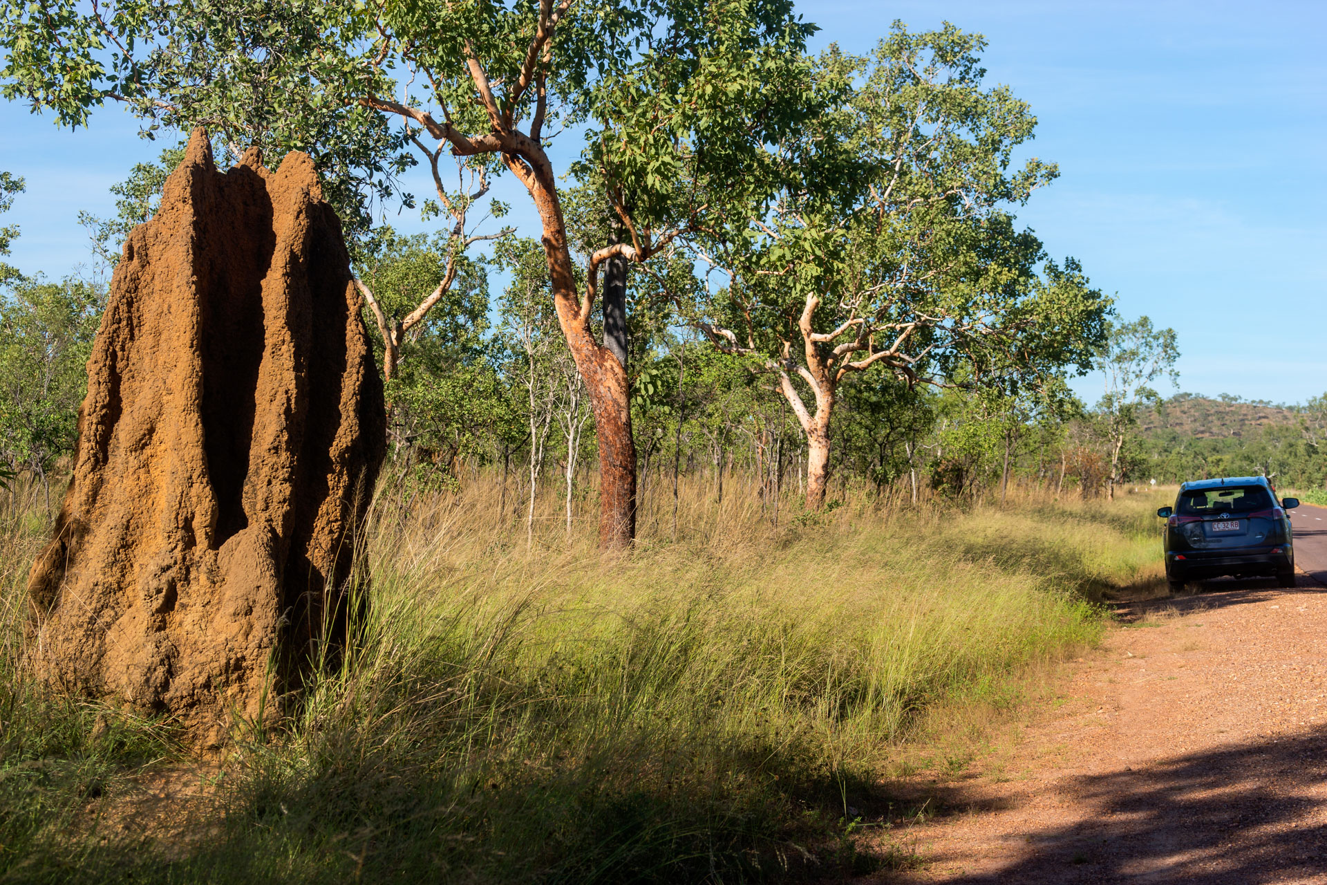 Kakadu National Park - Termitenhügel